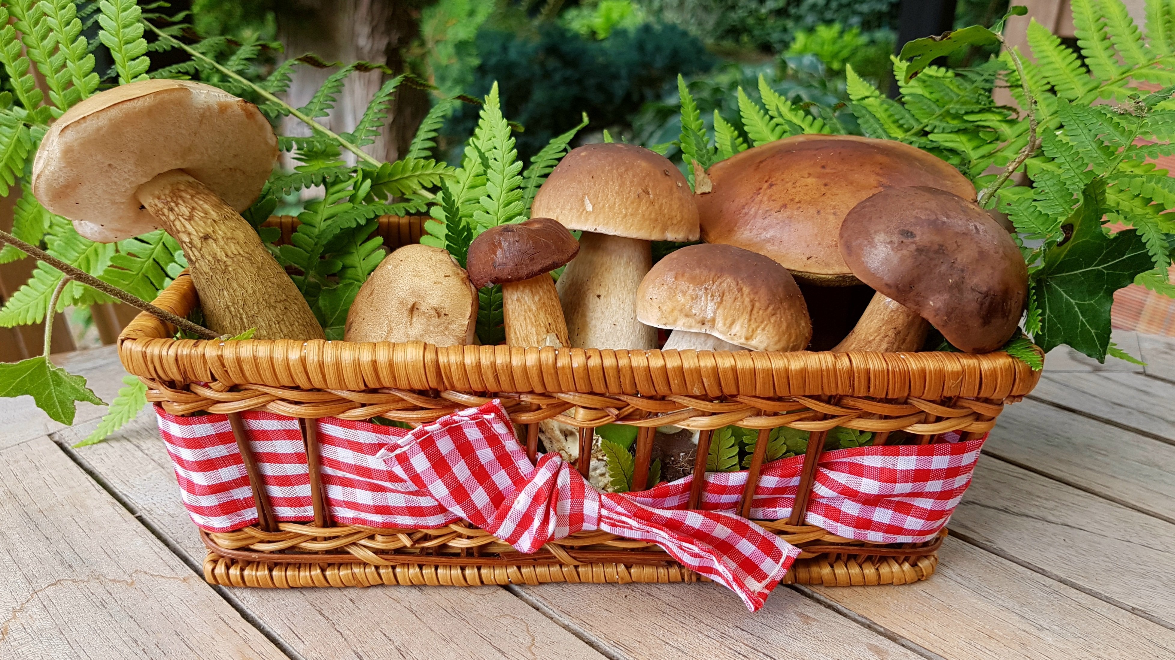 mushrooms