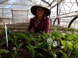 Photo of Kelley Jennings, Greenhouse and Garden Manager, pictured in the greenhouse among the plants