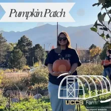 Pumpkin Patch Icon