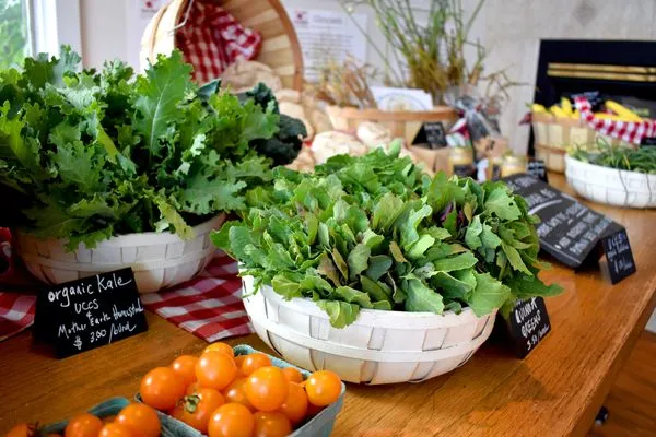 Summer Farm Stand