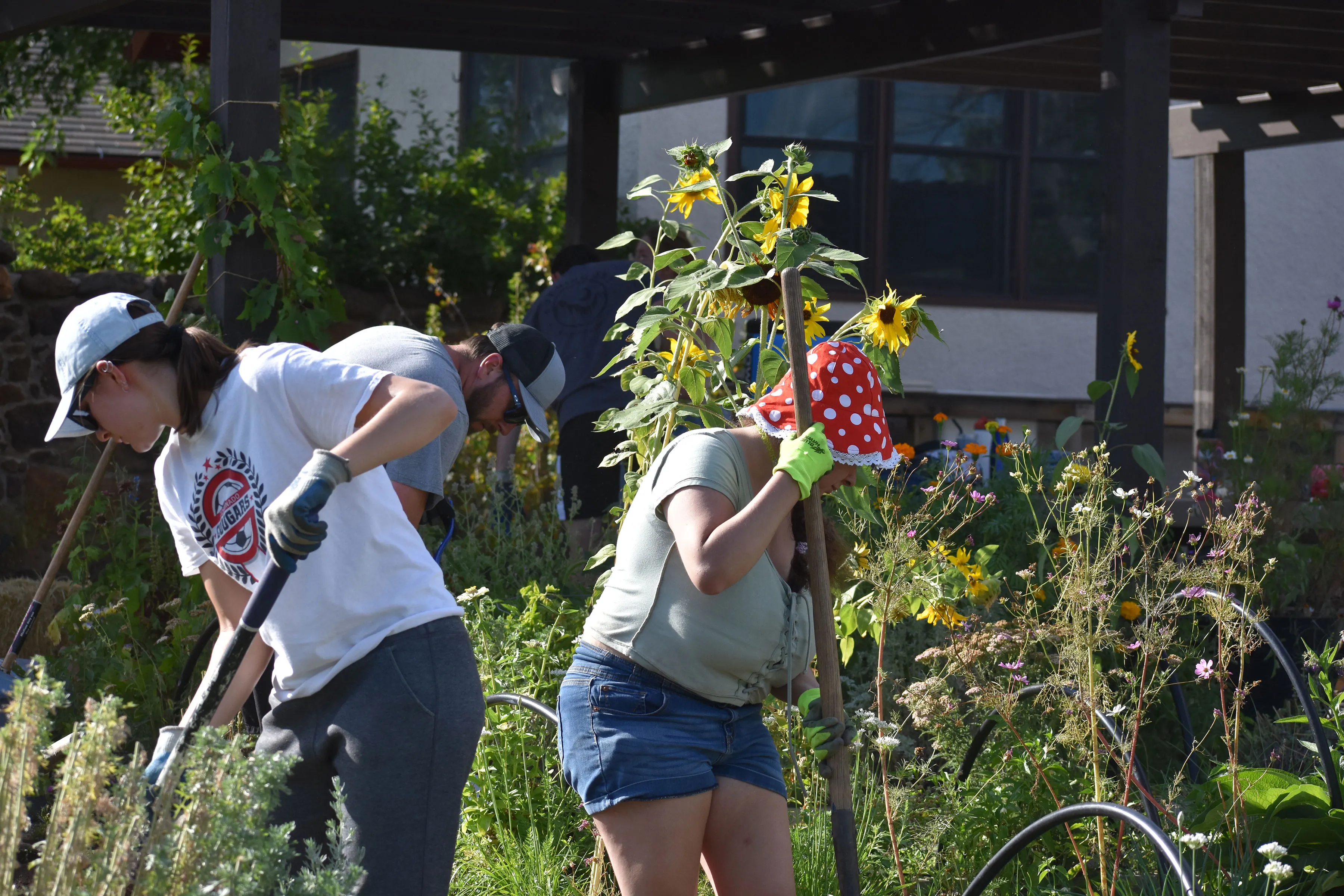 two students working together on the farm