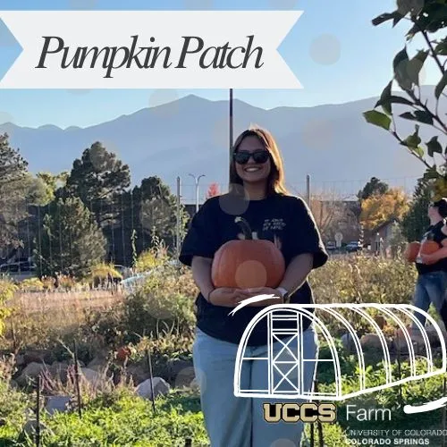 Woman posing with a pumpkin at the Pumpkin Patch