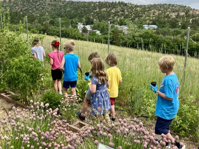 Kids playing at the Farm 